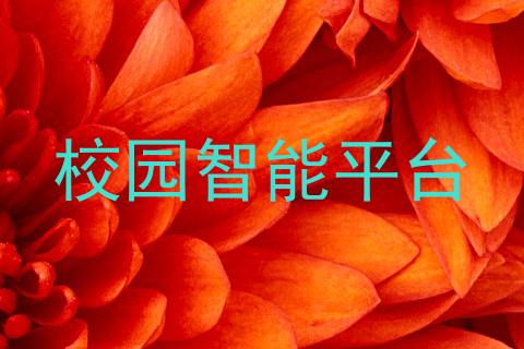 校园智能平台