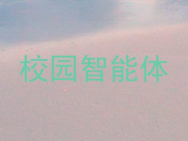 校园智能体