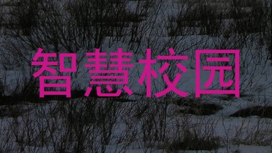 智慧校园