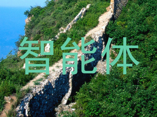 智能体
