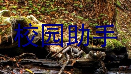 校园助手