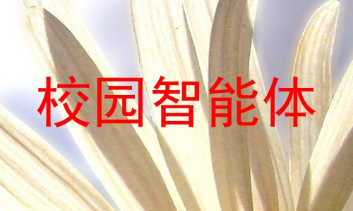 校园智能体