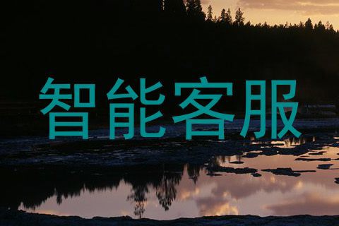 智能客服