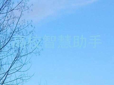 高校智慧助手