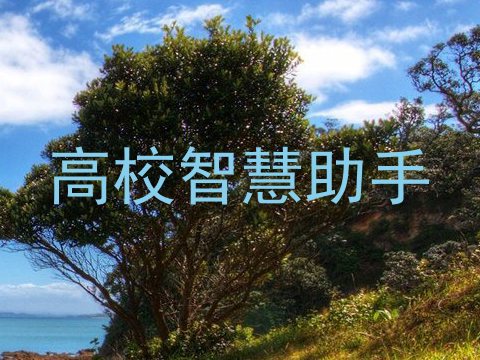 高校智慧助手
