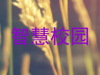 智慧校园