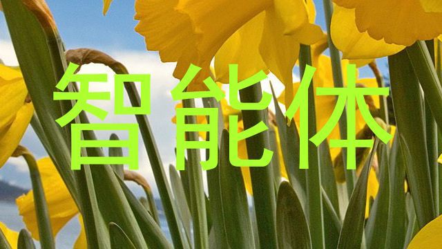 智能体