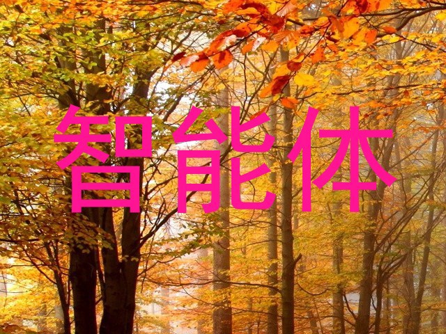 智能体