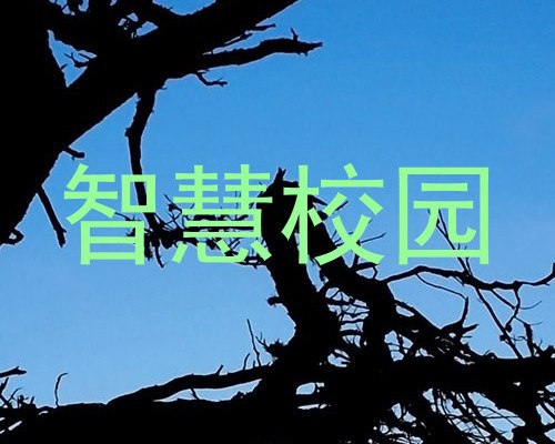 智慧校园