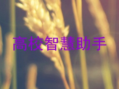高校智慧助手