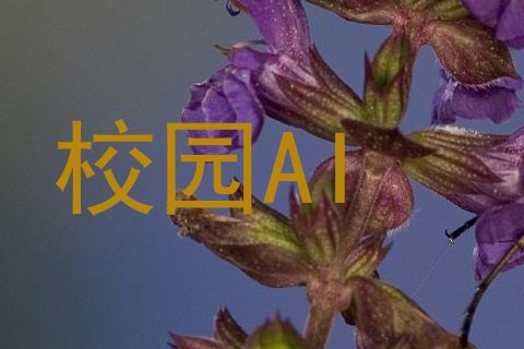 校园AI
