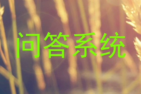 问答系统