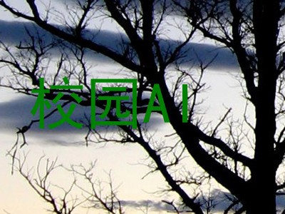 校园AI
