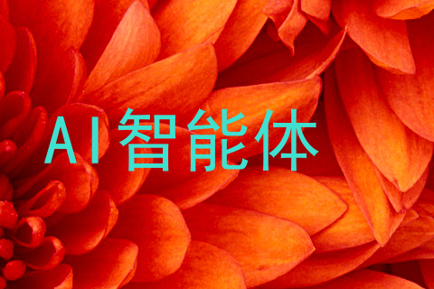 AI智能体