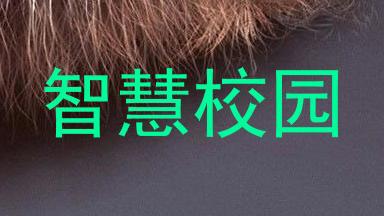 智慧校园