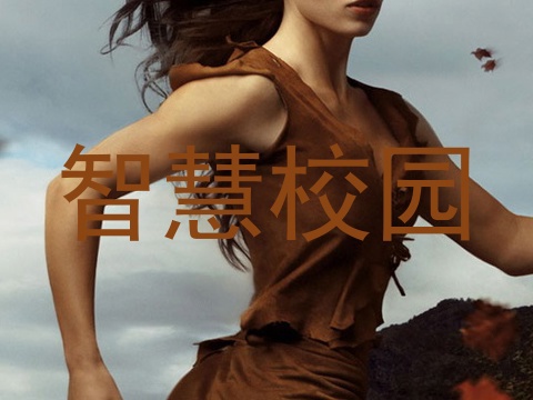 智慧校园