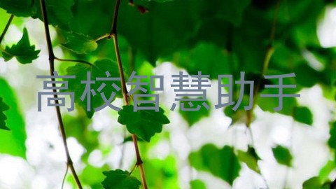 高校智慧助手