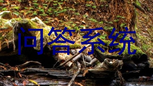 问答系统