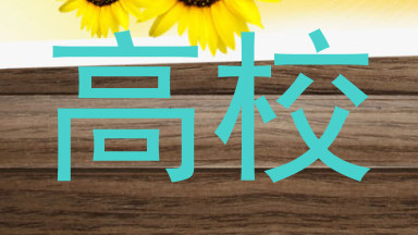 高校