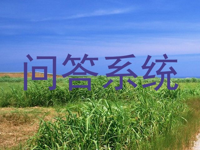 问答系统