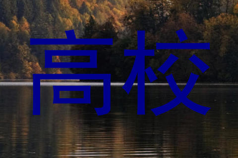 高校