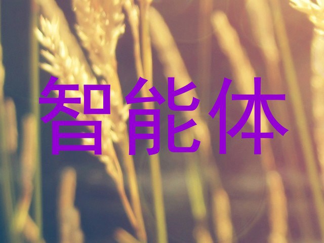智能体