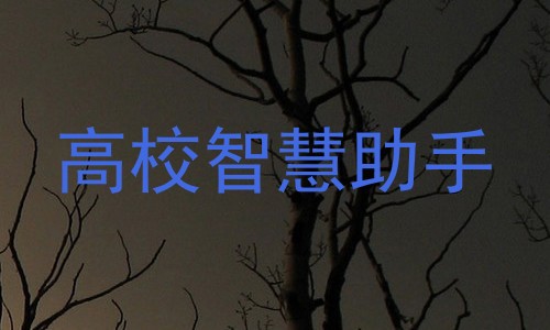 高校智慧助手