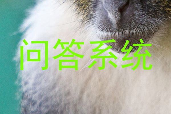 问答系统