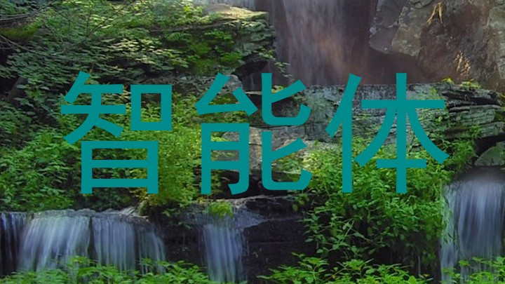 智能体