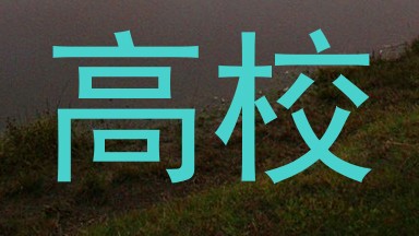高校