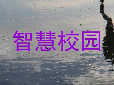 智慧校园
